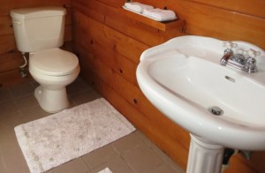 Waipio Wayside, Library Room, column sink and toilet
